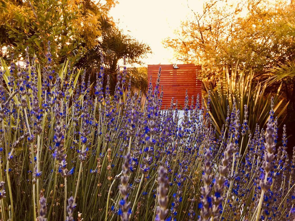 Pictures Guest House Boutique Hotel Oudtshoorn Luaran gambar